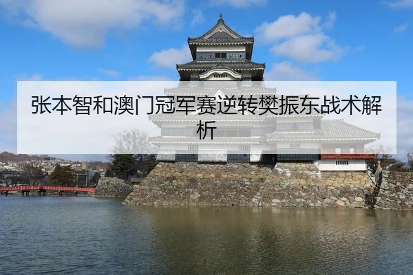 张本智和澳门冠军赛逆转樊振东战术解析