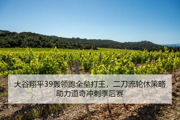 大谷翔平39轰领跑全垒打王，二刀流轮休策略助力道奇冲刺季后赛